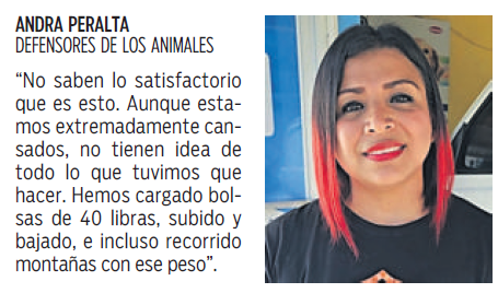 $!Se activa red de solidaridad para proteger a las mascotas