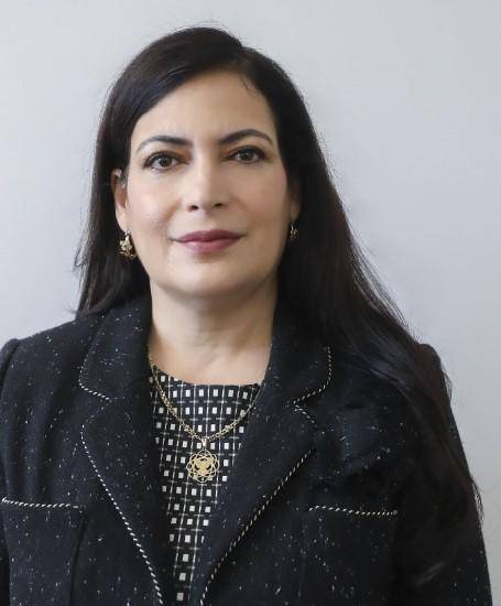 Los magistrados que decidirán sobre el contrato minero