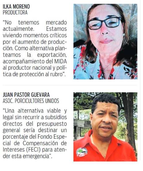 $!Sobreproducción y baja de precios afectan a porcinocultores, piden ayuda para exportar