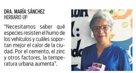 $!Más de 175 tipos de árboles en la city