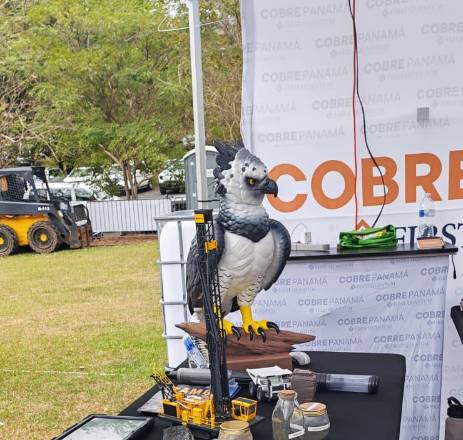 E.González | Maquetas a escala que mostraban las operaciones.