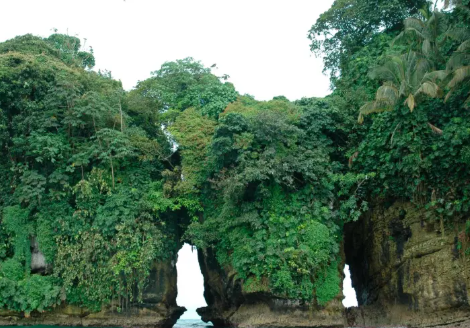 Tejemeneje del 6 de enero de 2026