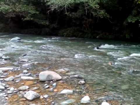 Menor de 9 años muere ahogado en el río Cabra en Pacora