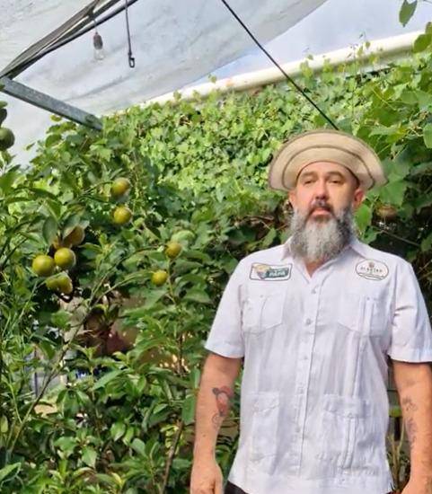 Plantas frutales injertadas, emprendimiento que impulsa la agricultura orgánica local
