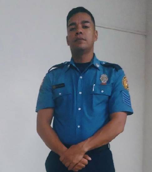 Abejas: útiles pero peligrosas