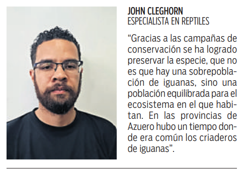 $!La iguana verde: guardiana natural de los ecosistemas