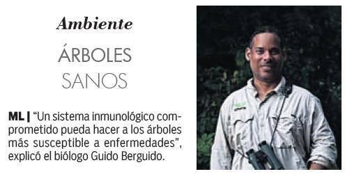 $!Más de 175 tipos de árboles en la city