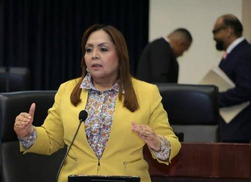 ML | La diputada Dana Castañeda.