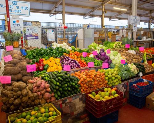 Garantizan suministro de papa, yuca y ñame en el mercado