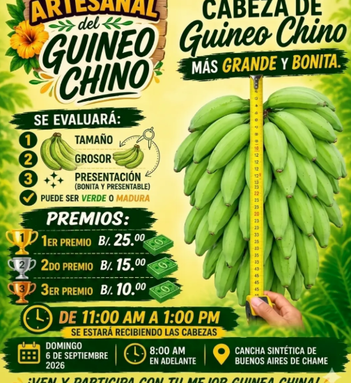 El guineo chino será la estrella en Buenos Aires de Chame