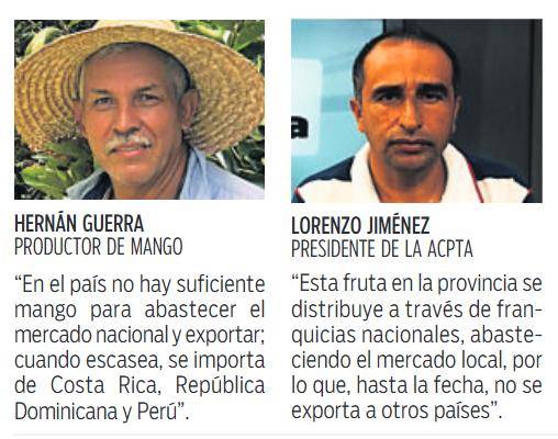 $!Producción de mango supera los 6 mil quintales al año