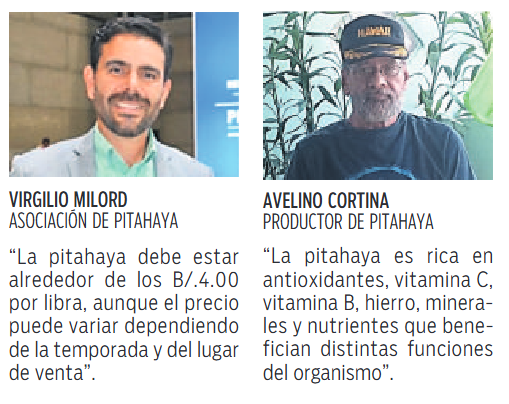 $!La producción de pitahaya supera las 3 mil toneladas al año