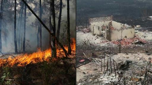 El fuego asedia Burdeos y sigue sin control en España