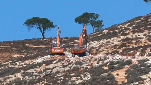 Excavadoras israelíes arrancan cientos de árboles de palestinos en Cisjordania