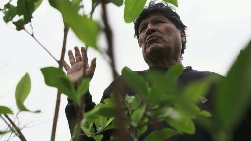 Ordenan la captura de Evo Morales por las recientes protestas que paralizaron Bolivia