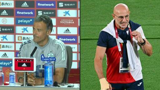 Luis Enrique deja de ser seleccionador español y De la Fuente le sustituye