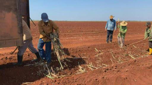 Cuba abre el comercio de productos agrícolas al sector privado