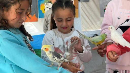 Niños de Gaza vuelven a sonreír gracias a la zooterapia