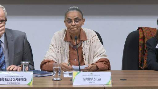 La deforestación en la Amazonía brasileña cae un 33% en el primer semestre de 2023