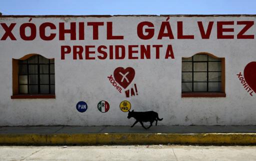 Xóchitl Gálvez, de vender gelatinas a buscar la presidencia de México