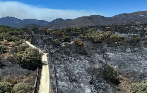 España y Francia combaten a contrarreloj los incendios antes de otra ola de calor