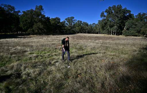El alza del oro impulsa una nueva fiebre dorada en California