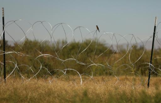 Un pájaro, posado en una alambrada en la frontera entre Presidio (Texas, EEUU) y Ojinaga (México), en una imagen del 4 de noviembre de 2025