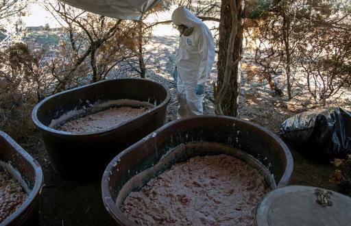 Del sur de África a Australia, la nueva ruta de la meta del cártel de Sinaloa