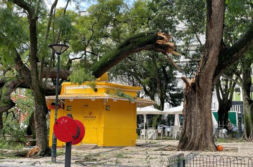 Una rama de un árbol caída sobre un quiosco de Lisboa el 28 de enero de 2026, tras el paso de la tormenta Kristin por Portugal