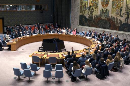 Los miembros del Consejo de Seguridad de la ONU votan una resolución favorable al desbloqueo del estrecho de Ormuz, el 7 de abril de 2026 en Nueva York, en la sede central de Naciones Unidas