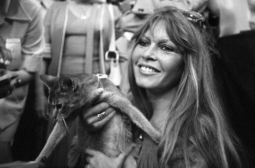 Fin de un mito: Brigitte Bardot fallece a los 91 años