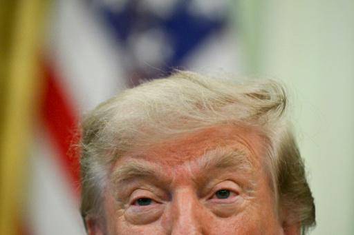Trump dice que el estrecho de Ormuz podría reabrirse pronto