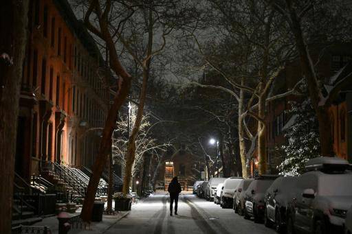 Cae la primera nevada en Nueva York en dos años