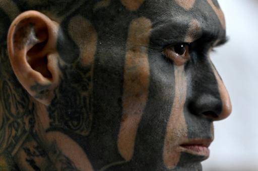 ¿Cuál es el alcance del megajuicio contra los jefes de la MS-13 en El Salvador?