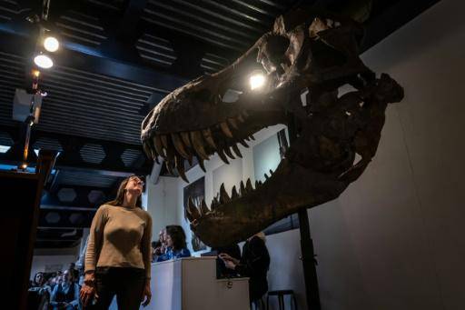 Un esqueleto de tiranosaurio rex ensamblado, subastado en 5,6 millones de euros