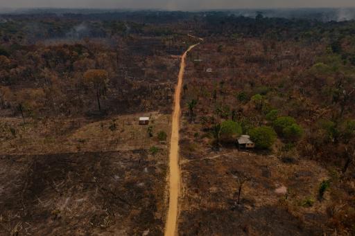 El avance de Flávio Bolsonaro alarma a los guardianes de la Amazonía brasileña