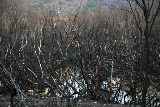 El pueblo de la Patagonia que ideó el aislamiento contra el hantavirus