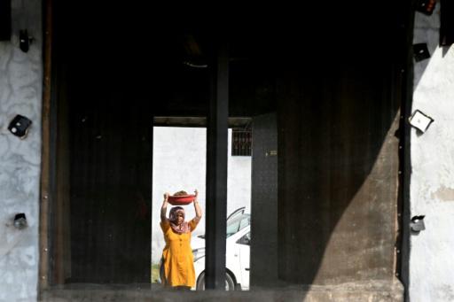 Ante la crisis energética en Oriente Medio, los indios cocinan con excrementos de vaca sagrada