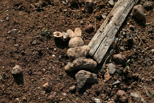 El narco desaloja un pueblo de México a bombazos