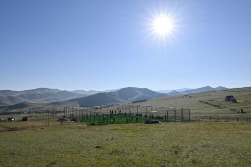 En Mongolia los luchadores entrenan en la estepa a la espera de la fiesta de Naadam