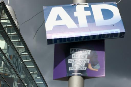 Elecciones regionales de alto impacto en Alemania para el canciller Merz