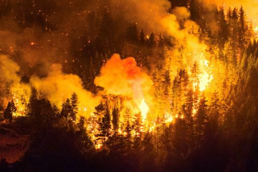 Incendio forestal en el cerro Pirque en El Hoyo, en la región patagónica de la provincia de Chubut, Argentina, el 7 de enero de 2026