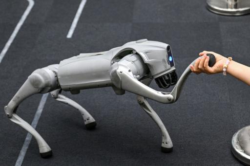 Acelera industria de robots humanoides: Unitree se dispara 600% en su debut bursátil