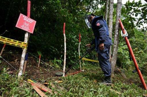 Aumenta el número de víctimas de minas antipersona en Colombia