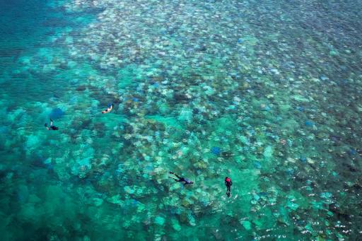 La Gran Barrera de Coral sufre su blanqueamiento más extenso jamás registrado