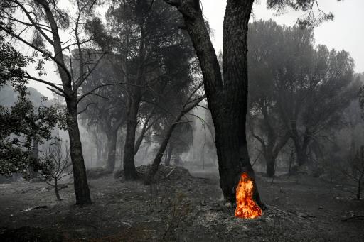 España enfrenta días claves para frenar los incendios cerca de Madrid