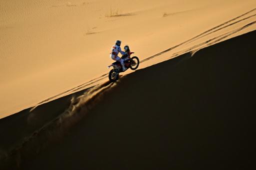 El piloto sudafricano Michael Docherty durante la 8ª etapa del Rally Dakar, alrededor de Wadi ad-Dawasir, el 12 de enero de 2026