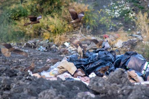Ushuaia, la ciudad argentina del fin del mundo, busca despegarse del hantavirus