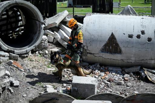 Escombros, rapel, perros buscadores: así entrena la unidad de rescate del Ejército mexicano