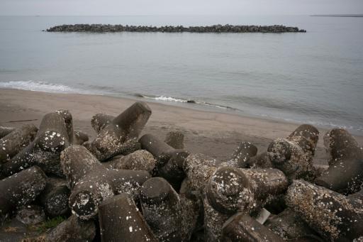 Unos rompeolas, que también sirven como barreras de tsunamis, fotografiaos en una playa en Ishinomaki, Japón, el 27 de abril de 2026